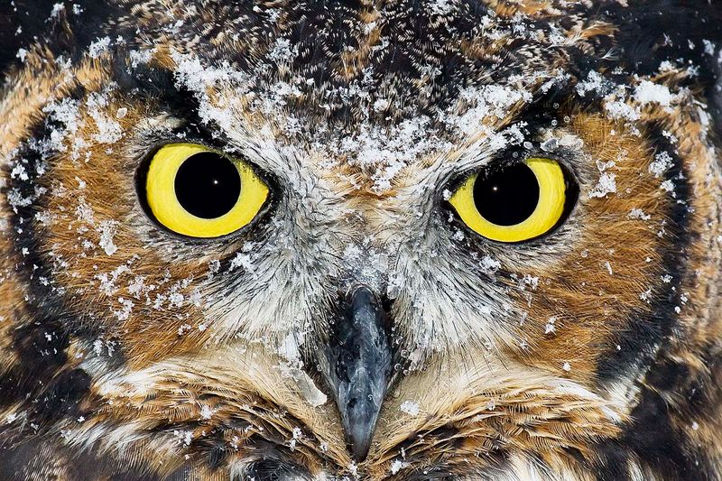 Education Programs and Camps