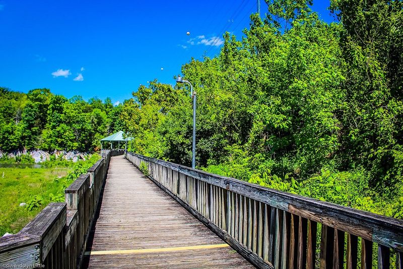 Johnson City Winged Deer Park