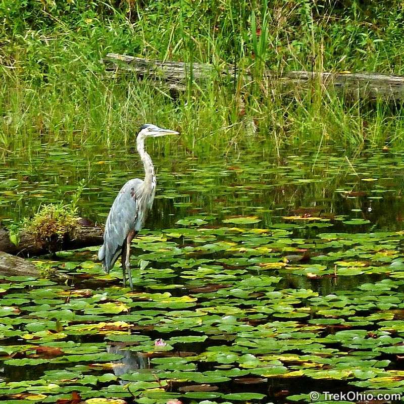 Lake Hope State Park, McArthur, Ohio