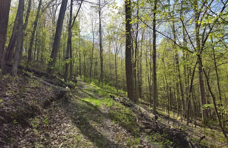 Shawnee Forest Day Hike East Loop &ndash; Shawnee State Forest, Near West Portsmouth