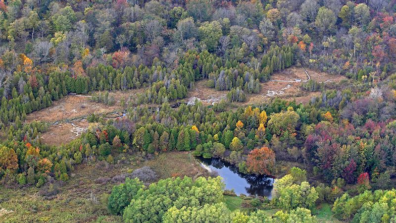 Cedar Bog Nature Preserve, Urbana, Ohio