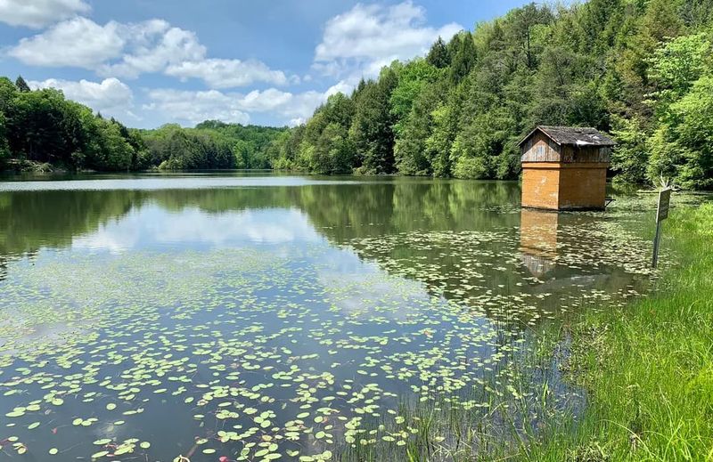 Pine Ridge Trail &ndash; Lake Katharine State Nature Preserve, Near Jackson