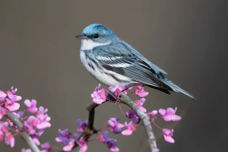 Shawnee State Park, West Portsmouth, Ohio