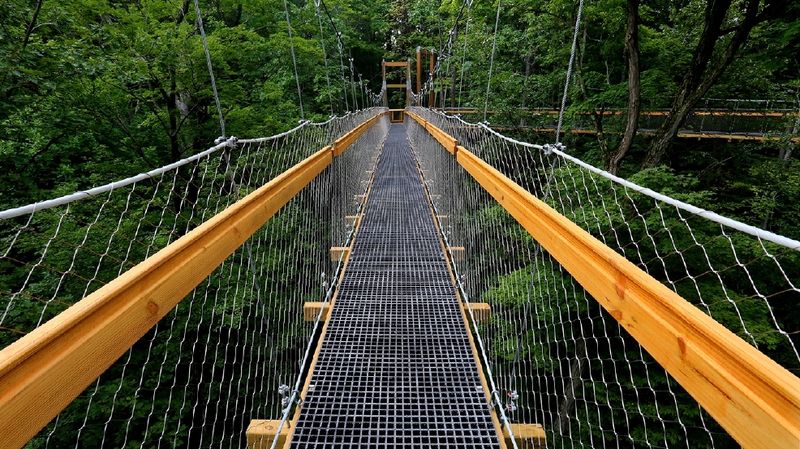 Judith and Maynard H. Murch IV Canopy Walk (Kirtland)
