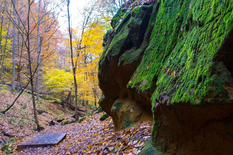 Mohican State Park, Loudonville, OH