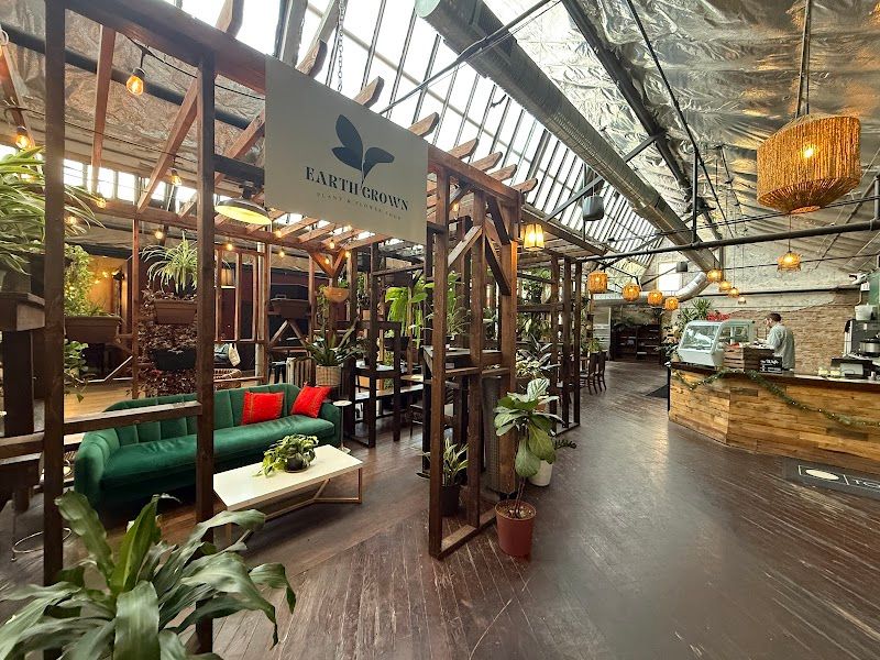 Earth Coffeehouse, Toledo