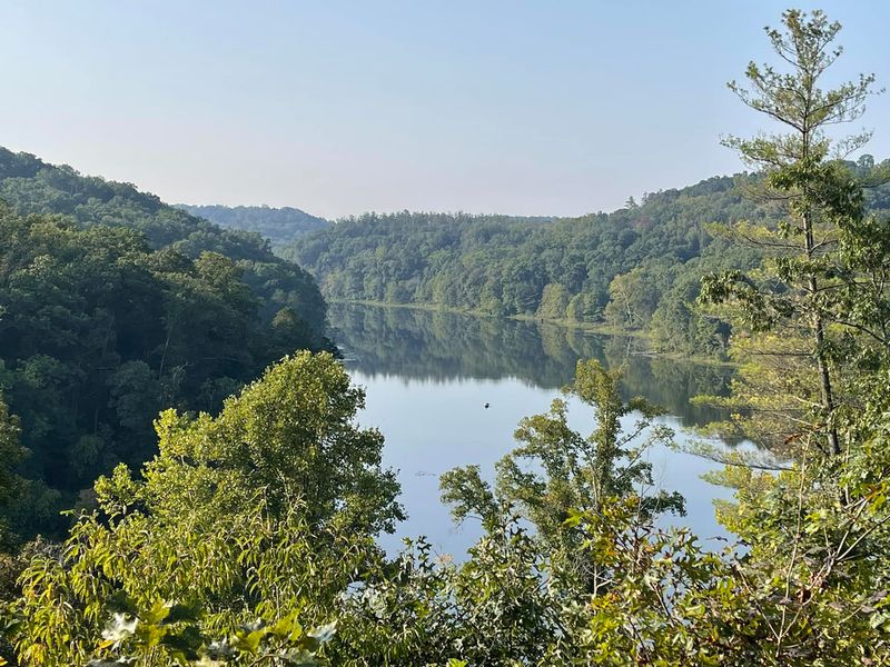 Wayne National Forest