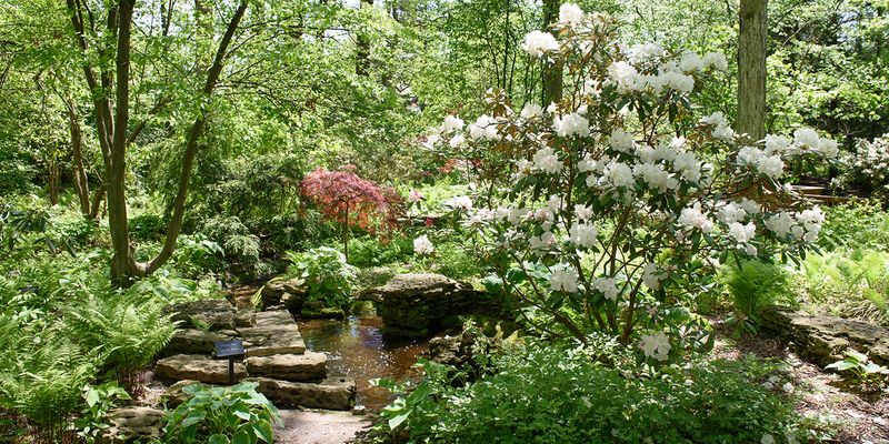 Toledo Botanical Garden, Toledo, OH