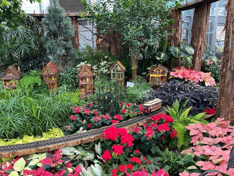 Krohn Conservatory, Cincinnati, OH