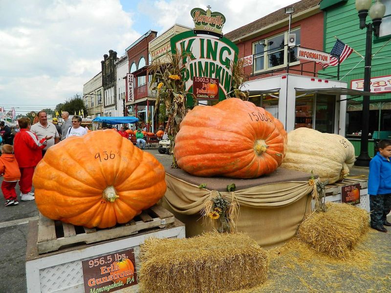 Pumpkin Pie &ndash; Barnesville Pumpkin Festival