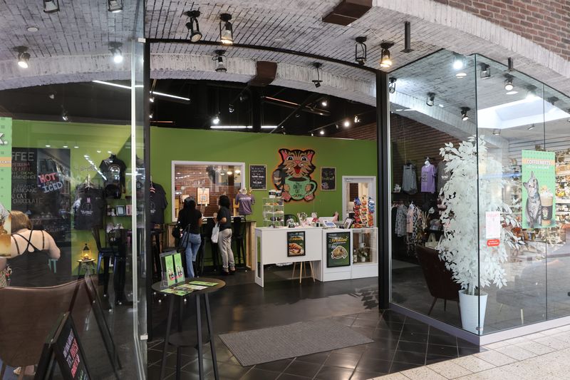 The Chatty Cat Cafe, Zanesville