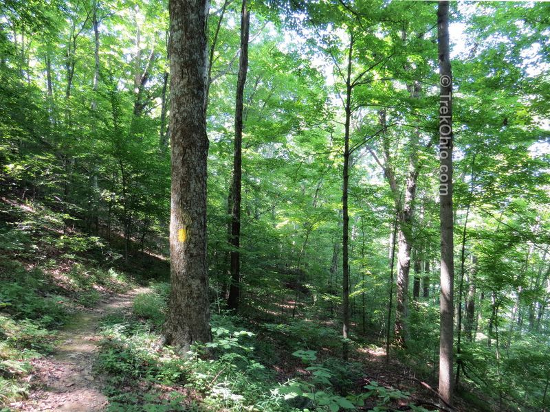 Lakeside Trail and Buckeye Trail Connector