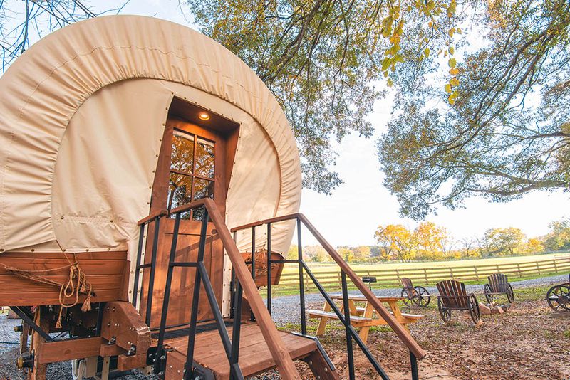 There Is Much More Here Than Just Sloths and Kangaroos