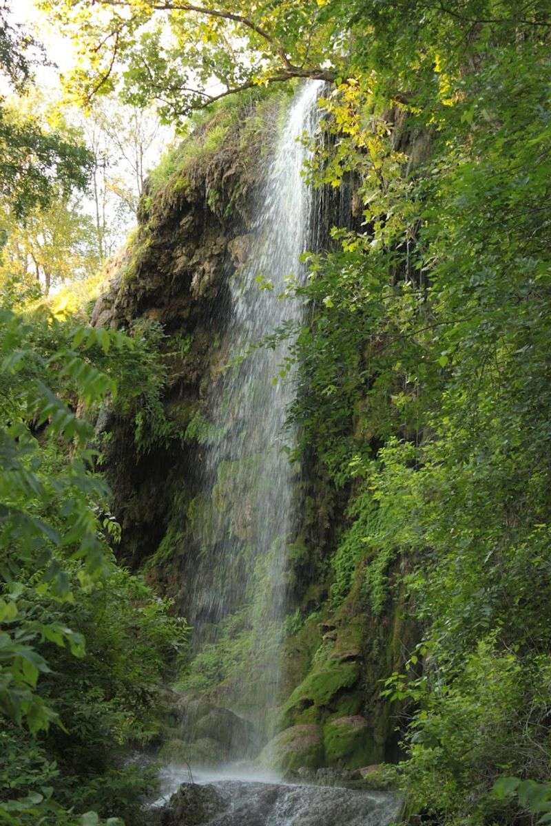 Gorman Falls (Colorado Bend State Park)