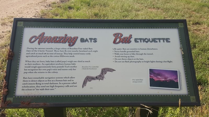 History In The Brickwork