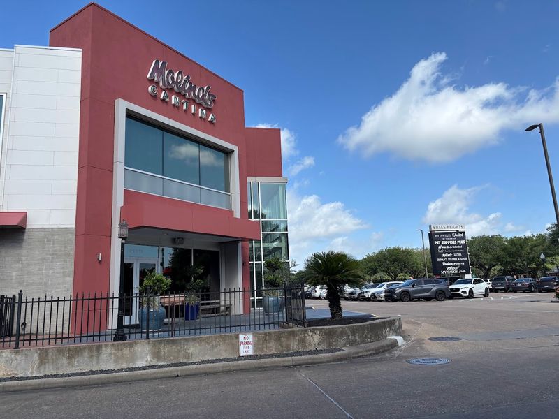 Molina's Cantina (Houston)