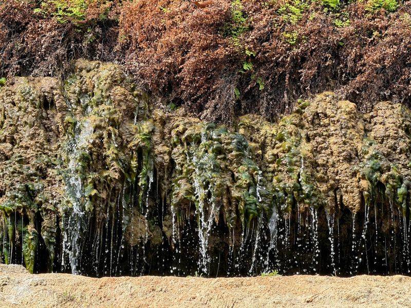 The 2.5-Mile Trek to Crockett Garden Falls