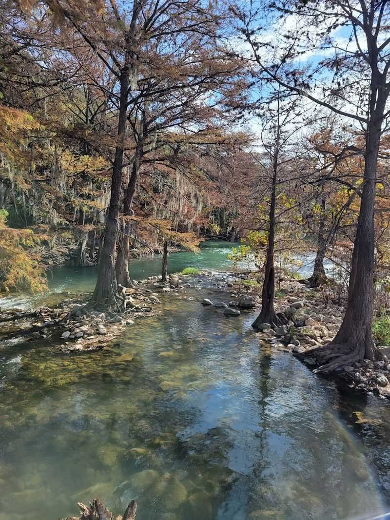 Gruene