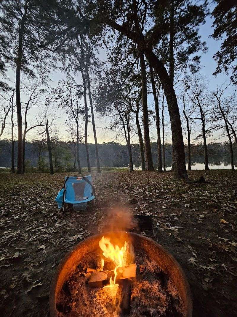 Stargazing Under Clear Night Skies