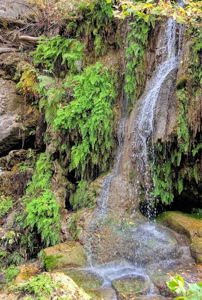 Krause Springs (Spicewood)