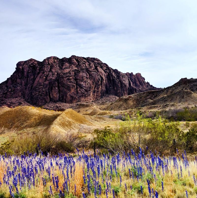 Big Bend National Park (Far West Texas)