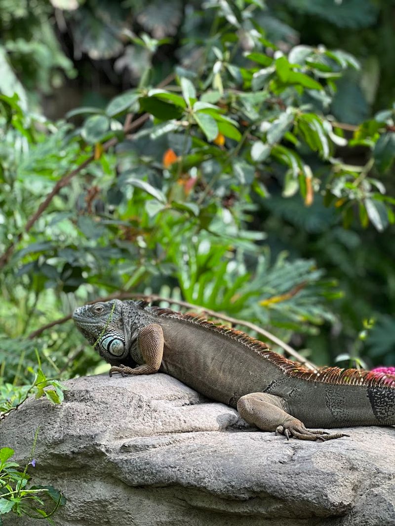 Accessibility, Comfort, and Care