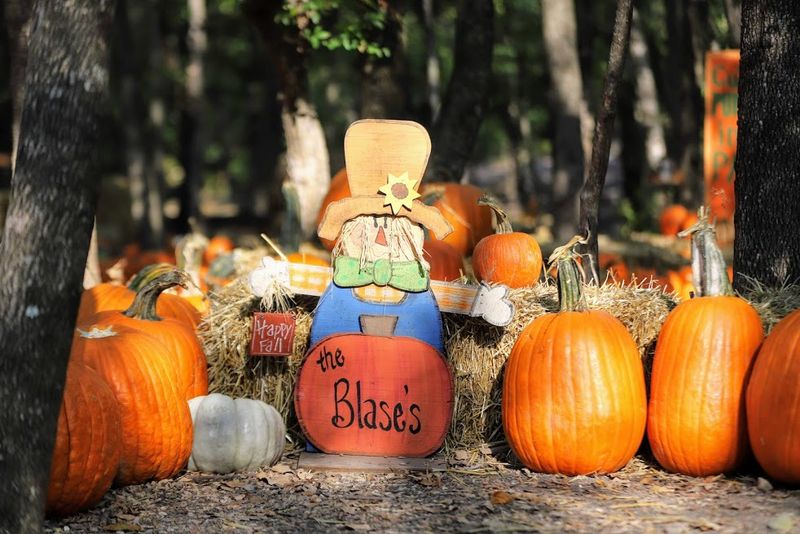 Blase Family Farm (Rockwall)
