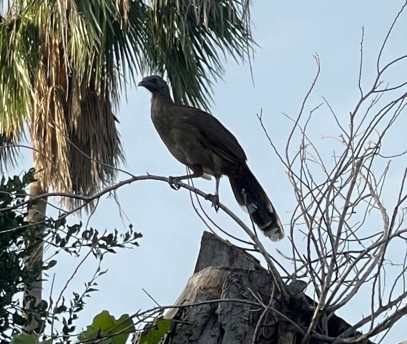 Bird-Watchers Flock Here for Incredible Avian Diversity