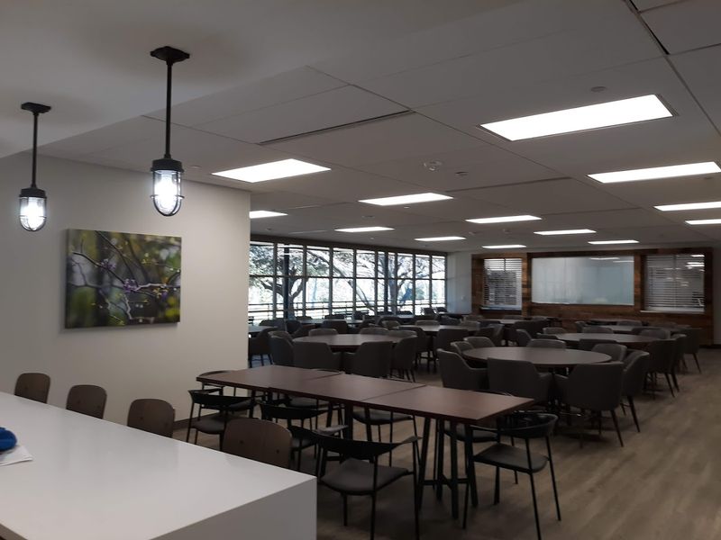 Social Clubs, Meetups, and Volunteering