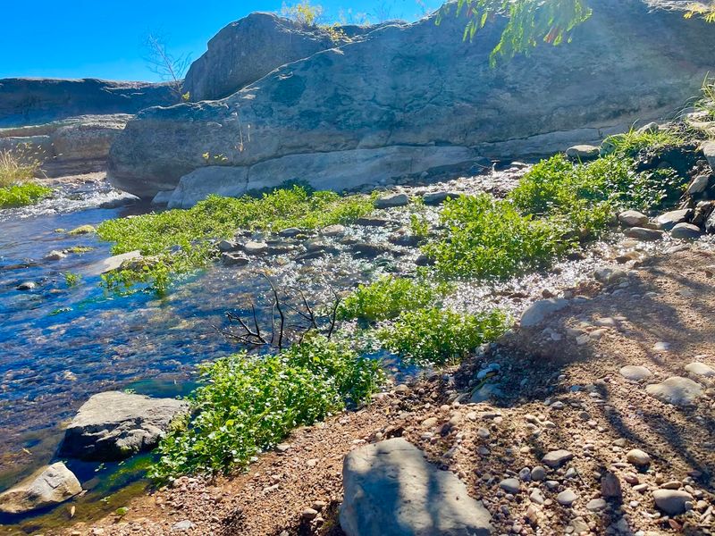 Pedernales Falls State Park (Johnson City)