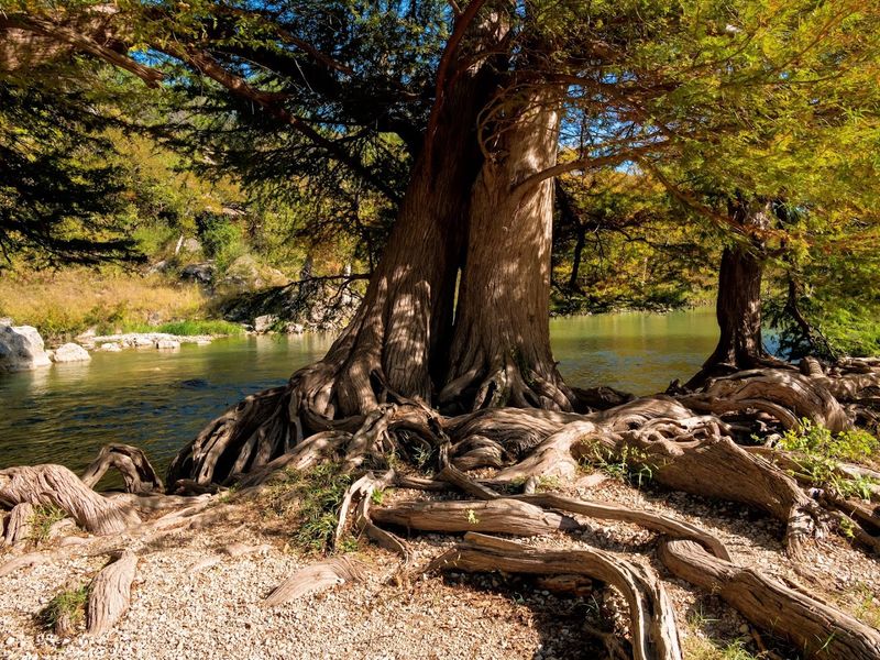 Guadalupe River State Park