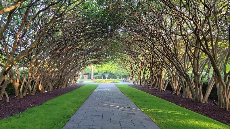 The Dallas Arboretum and Botanical Garden (Dallas)