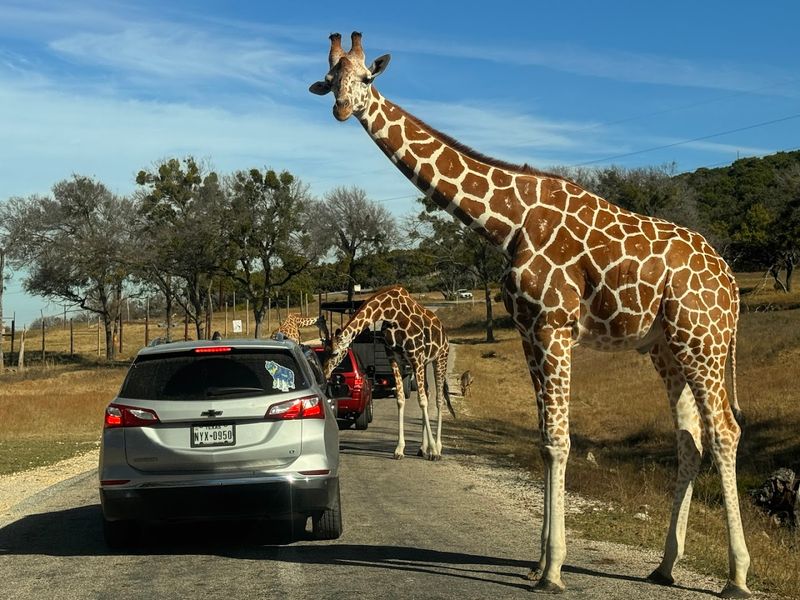 Fossil Rim Wildlife Center