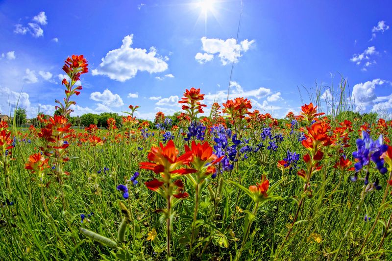 Planning Your Visit and What to Bring