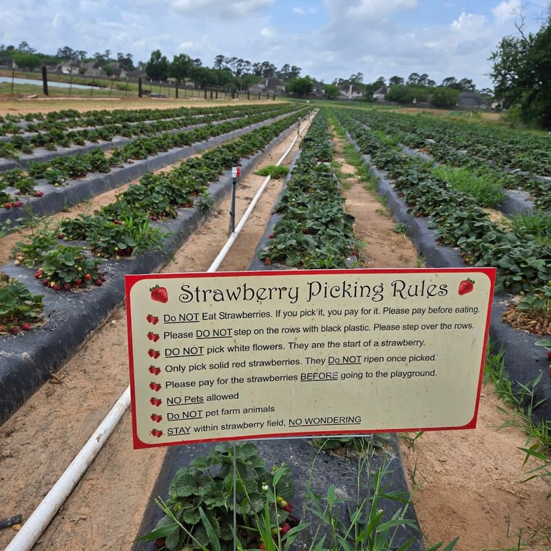 Clean Facilities and Thoughtful Farm Amenities