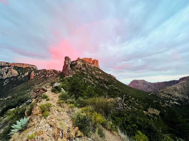 Big Bend National Park