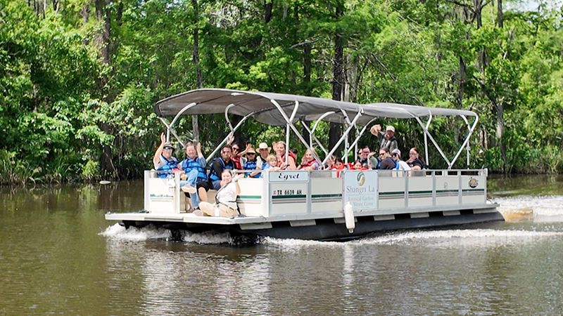 Pontoon Tours Reveal Hidden Perspectives