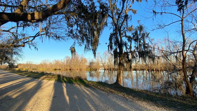 Seasons and Weather: Plan Like a Local