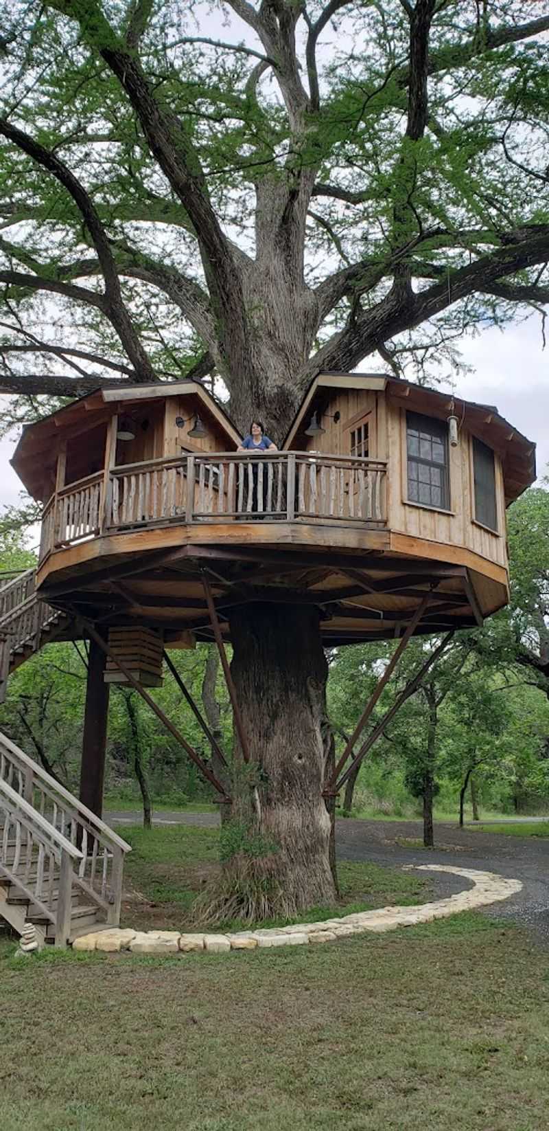 Architectural Marvels Built Into Ancient Cypress Trees