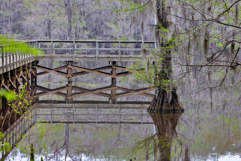 Caddo Lake State Park