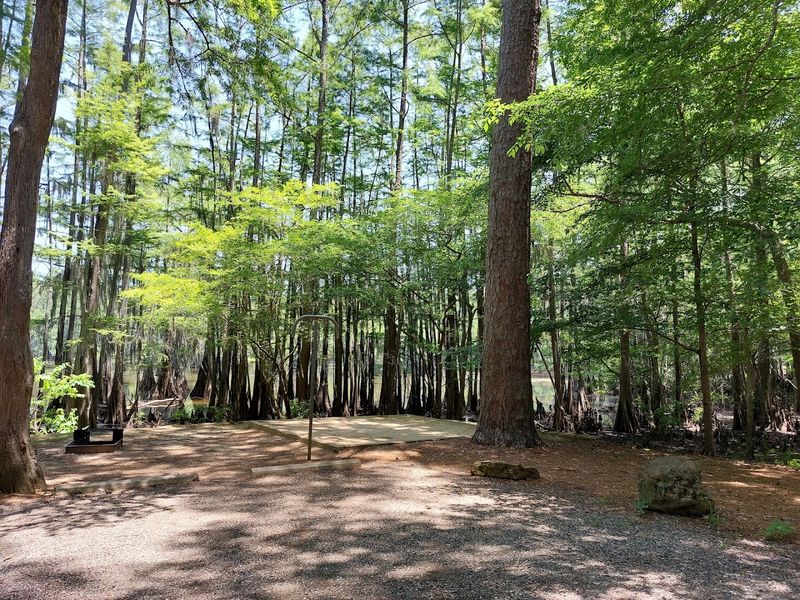 Caddo Lake State Park