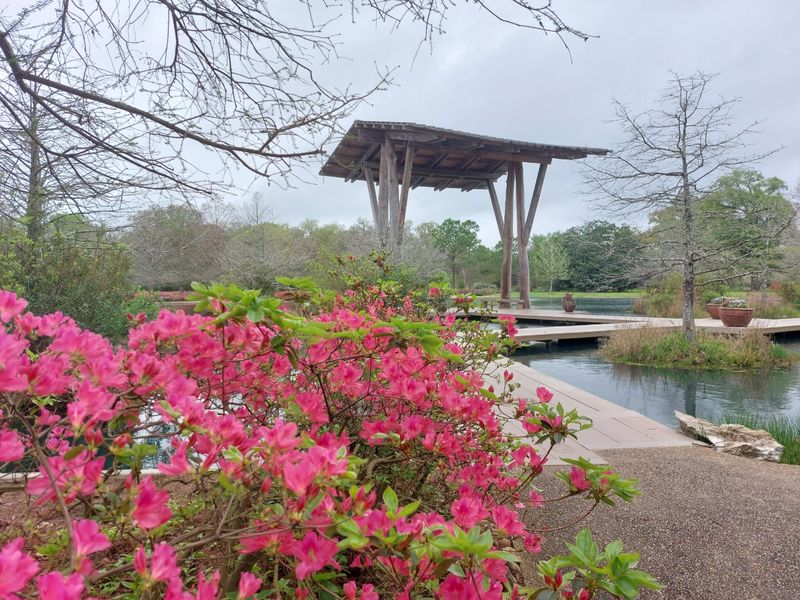 Accessibility Features Welcome All Visitors