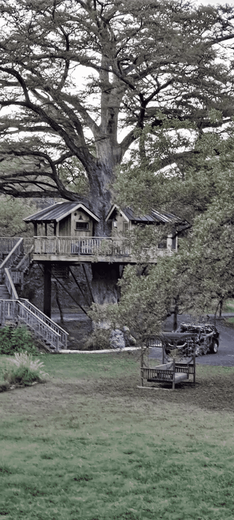 Gourmet Breakfast Delivered to Your Treehouse Door