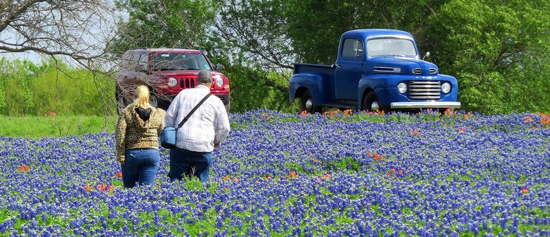 Family Photo Sessions in the Bluebonnets