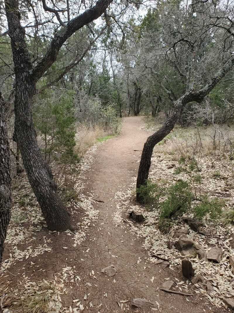 Gorman Falls Trail (Bend)