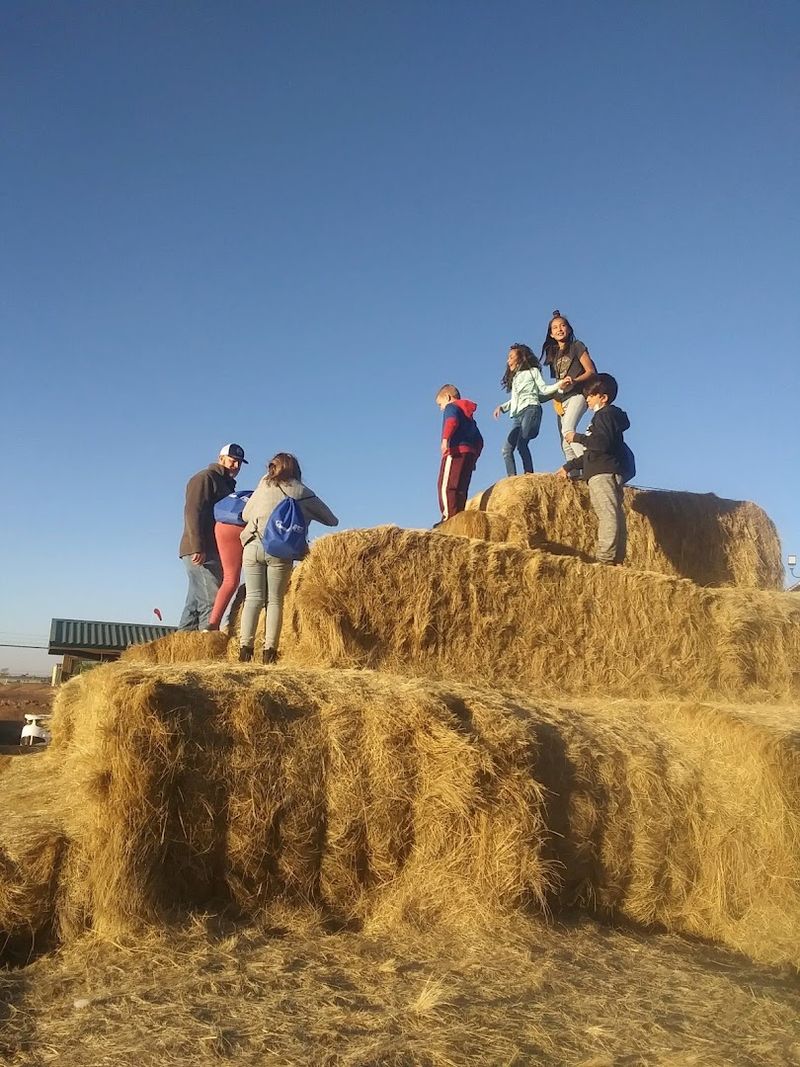 Pampa's Authentic Small-Town Atmosphere