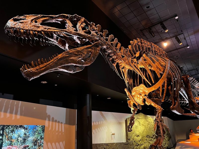 How to Score Free Admission Every Week