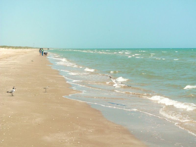 Boca Chica Wildlife Refuge (Brownsville)