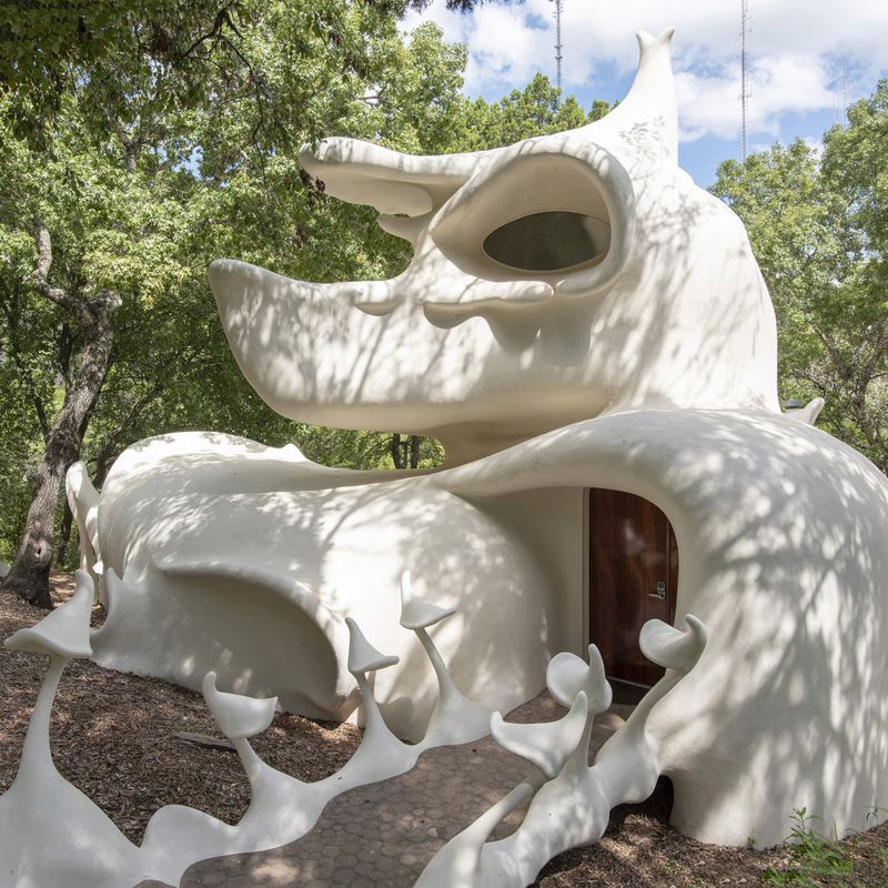 Rescued by Austin's Former Mayor