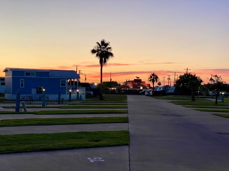 Prime Cut-Off Road Location Near Everything